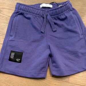 Zara Violet Casual Shorts